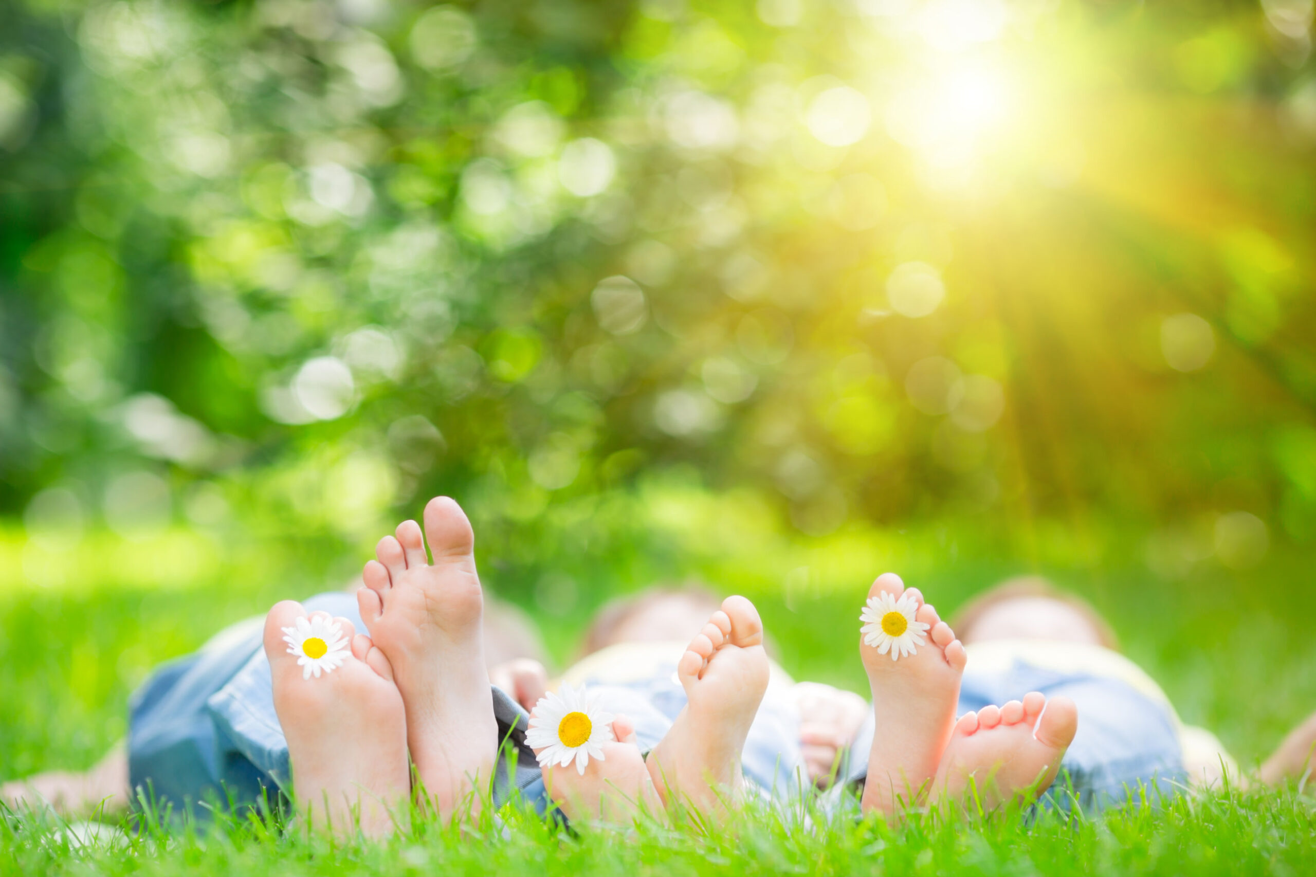 des personnes allongées sur l'herbe, les pieds levés